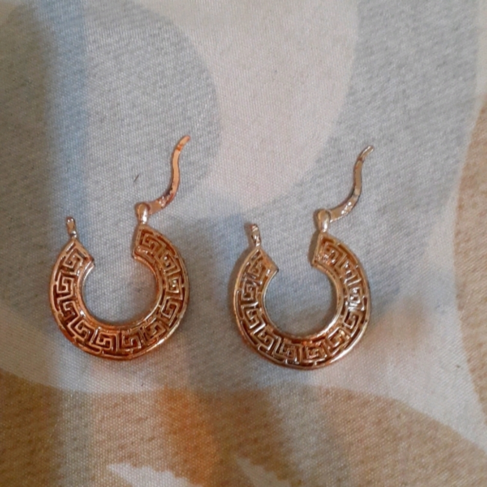 Beautiful RARE Ancient Egyptian Gold earrings.